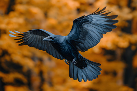 A striking raven soars gracefully against a backdrop of vibrant autumn foliage. its dark plumage contrasts beautifully with the warm hues, showcasing the bird's elegance and the season's natural beauty., Generative AIの素材