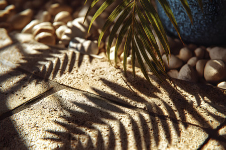 Tropical palm leaves cast intricate shadows on textured stone tiles bathed in warm sunlight. smooth decorative rocks surround a potted plant, creating a serene, natural setting ideal for design and decor inspiration. Generative AIの素材