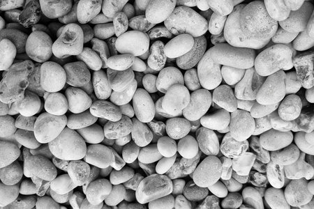 Natural Smooth White Pebbles for Decorative Landscaping and Zen Gardensの写真素材