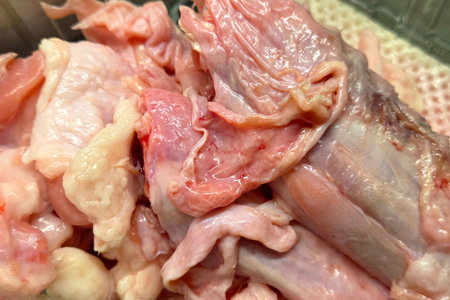 Raw Chicken Parts in Container - Food Preparation, Culinary Ingredient, Cooking Stock Photoの写真素材