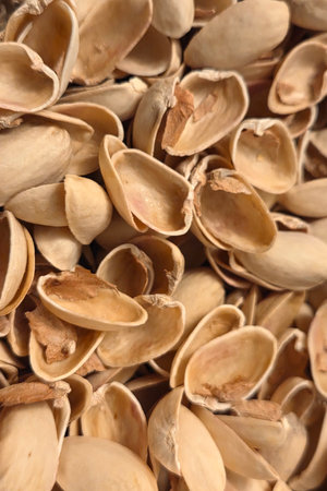 Pile of Empty Pistachio Shells for Background or Texture Design
