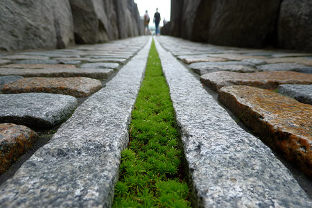 Green moss thrives in a narrow gap between cobblestones, flanked by large stone walls. the scene offers a symbolic contrast between natural elements and man-made structures. silhouettes in the distance hint at an urban setting. Generative AIの素材