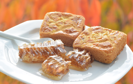 Sweet honeycomb and halva with almond.の写真素材