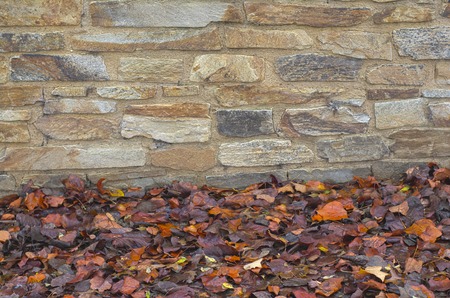 A stone wall with orange brown autumn leavesの写真素材