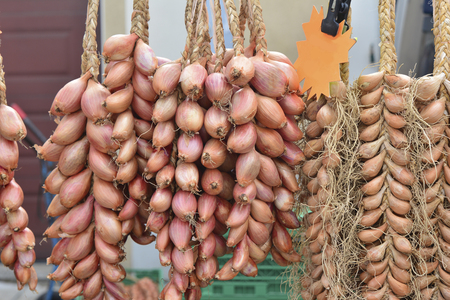 Onion eshalot and oblong bow onion with a mustache hanging in a row for sale in the marketの写真素材