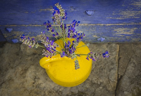 Lavender in a yellow kouvinum on a background of purple shabby doorの写真素材