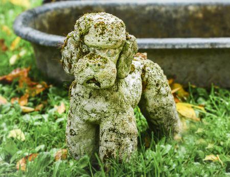 Decoration stone sculpture of the poodle dog in the gardenの写真素材