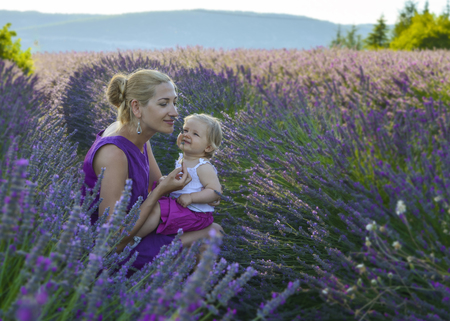Mother and daughter sniffing lavender in a fieldの写真素材
