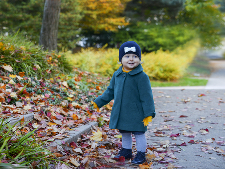 Little girl in the park in autumn keeps the leaves in her handsの写真素材