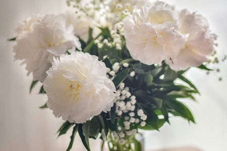 White peonies flowers in a vase on white backgroundの写真素材