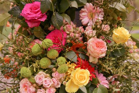 Bouquet of a beautiful rose decoration background