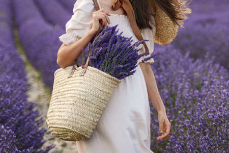 Woman holding wicker basket with a lavender in the fieldの写真素材