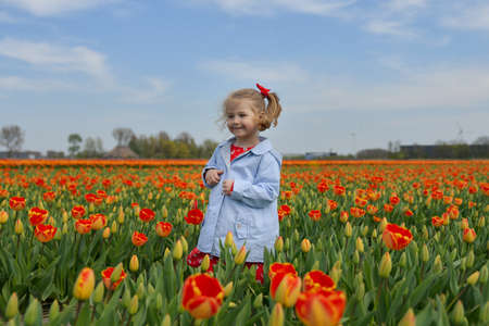 Happy girl running in an orange tulip fieldの写真素材
