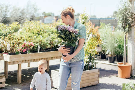 Mother with son buys purple hydrangea in a pot at a flower shopの写真素材