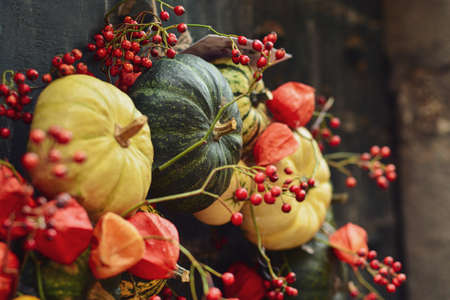 Composition of small pumpkins and zucchini on a vintage doorの写真素材