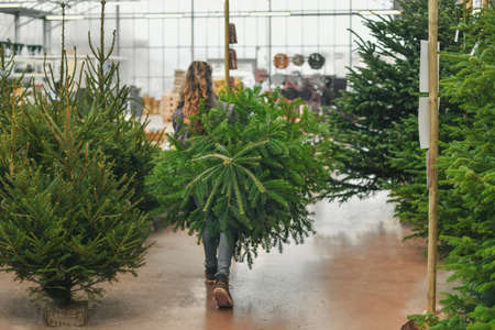 A woman chooses a Christmas tree in the market.