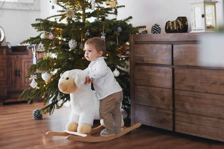 Boy rides a sheep near the Christmas tree at homeの写真素材