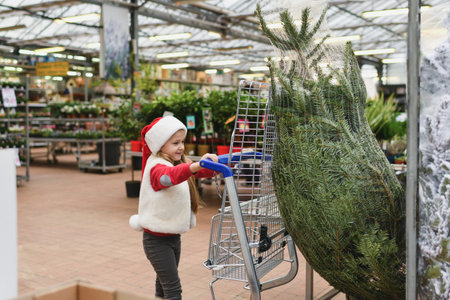 Small girl chooses a Christmas tree in the shop.の写真素材