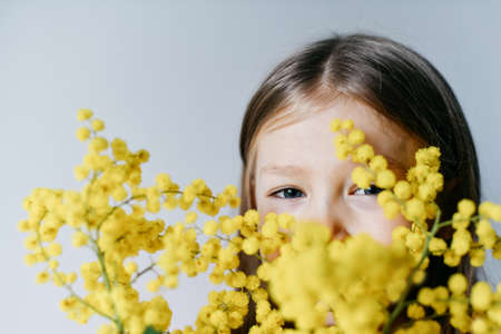 A girl holding mimosa on a white wall backgroundの写真素材