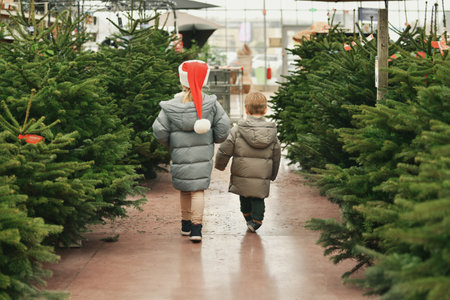 Children in a red caps choose a Christmas tree at a market.の写真素材