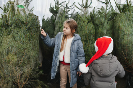 The children choose a Christmas tree in a shopの写真素材