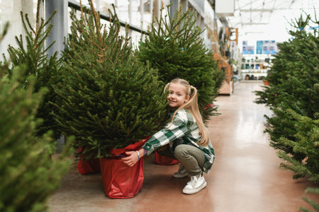 Small girl chooses a small Christmas tree in a pot at the market.の写真素材