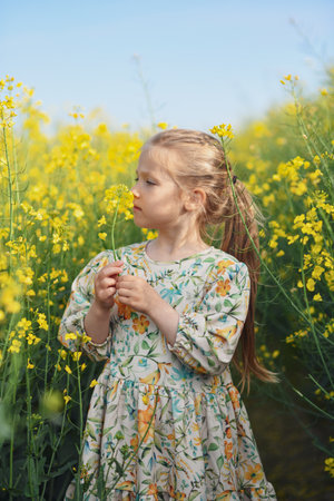 A girl in a dress in a field of rapeseed smelling flowersの写真素材