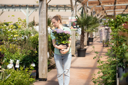 Girl holds purple hydrangea in a pot at a flower shopの写真素材