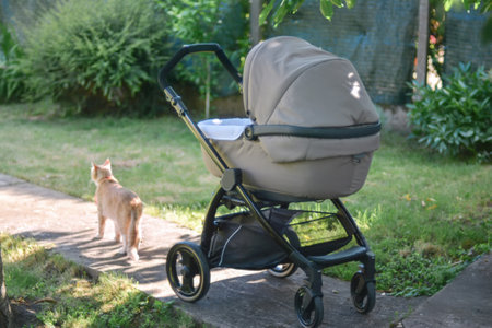 A stroller with a child is standing in the garden and a ginger cat is walking nearbyの写真素材