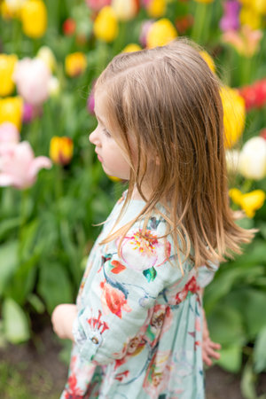 A child girl in a park with the tulipsの写真素材