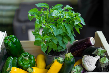 Food grocery basket of eco products and vegetables from catering for birthdayの写真素材
