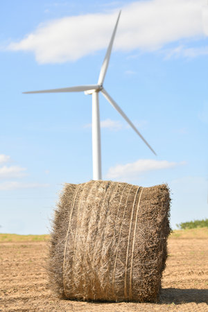 Windmills near the field of flax Normandy, Franceの写真素材