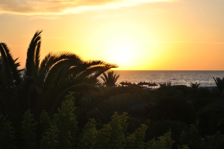 dawn on the beach in djerbaの写真素材