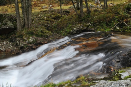 creek in val gronda in autumn