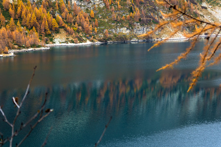 lake codelago in alpe devero during autumnの写真素材
