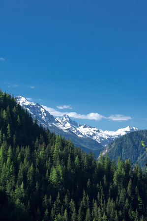 landscape in ferret valley during summer