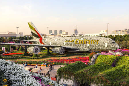 Dubai Miracle Garden Emirates Airbus A380 made of flowers. United Arab Emirates Dubai March 2019のeditorial素材
