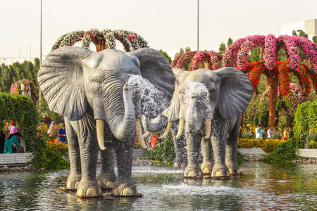 Dubai Miracle Garden is a flower garden with a wide variety of flowers. United Arab Emirates Dubai March 2019のeditorial素材