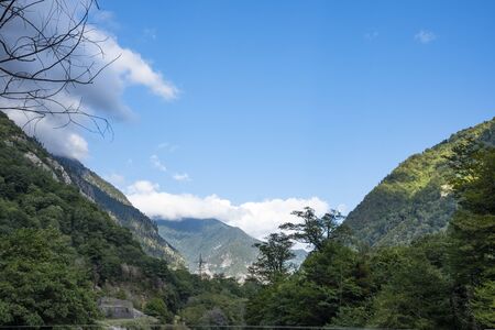 In the mountains of Abkhazia at an altitude of 1000 meters above sea level, many different types of trees grow, forming forests.の写真素材