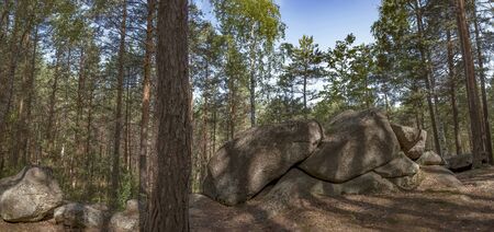 Piles of stones on which grass and trees grow.の写真素材