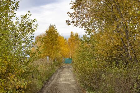 A dirt road runs along the trees to the gate.の写真素材