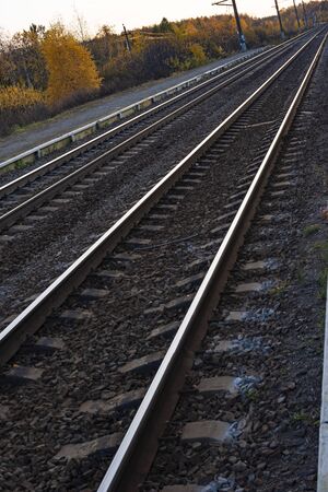 The railway passes through the autumn forest.の写真素材