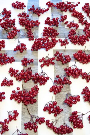 On the table are bunches of red berries of viburnum.の写真素材