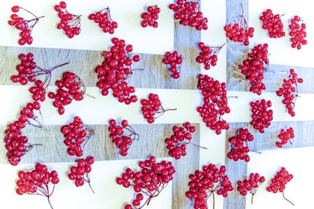 On the table are bunches of red berries of viburnum.の写真素材