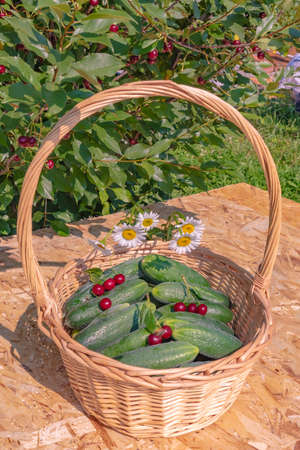 a basket of cucumbers decorated with cherries and a bouquet of daisies, close-up.の写真素材