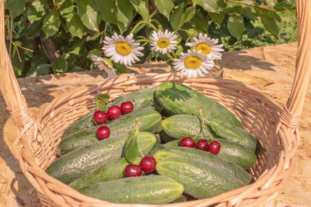 a basket of cucumbers decorated with cherries and a bouquet of daisies, close-up.の写真素材