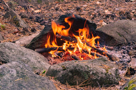 Red tongues of fire flame on a background of gray stones, close-up.の写真素材