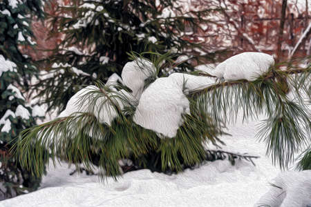 In the winter forest, white snow lies on the green branches of coniferous trees.の写真素材