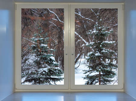 Through the window you can see the winter forest, where white snow lies on the green branches of coniferous trees.の写真素材