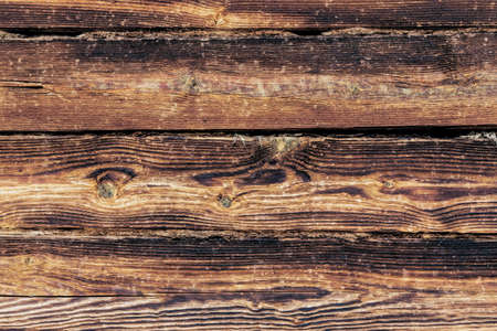 The background is the texture of a pine log on a fragment of the wall of a wooden house, illuminated by natural daylight.の写真素材